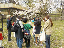 桜謎解きとミニ石鹸を作ろう