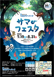 サマーフェスタ イベントチラシ