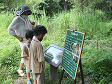 フィールドクイズに挑戦~夏の生き物編~