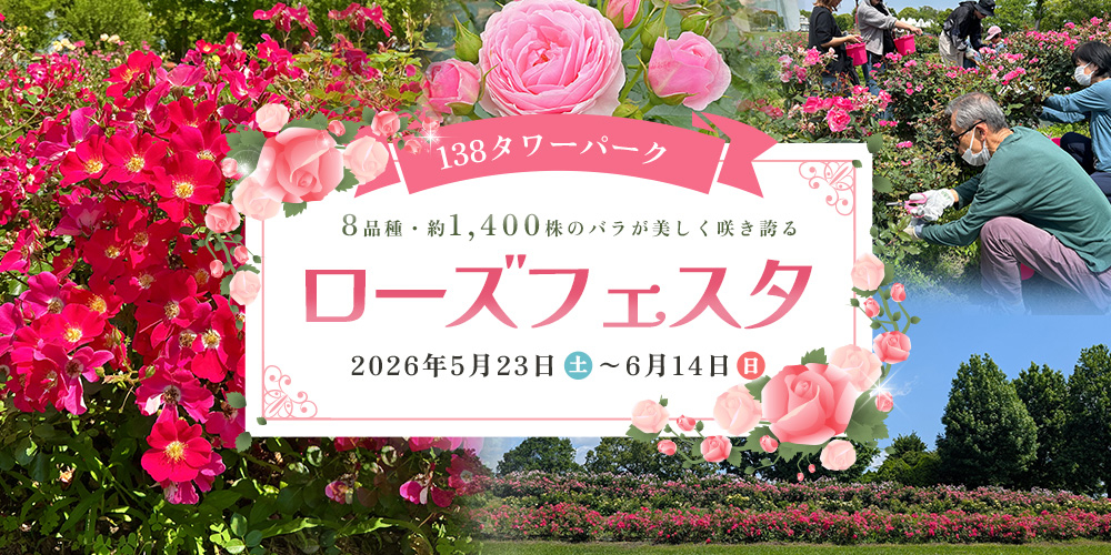 138タワーパーク ローズフェスタ