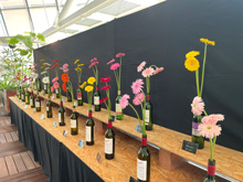 ガーベラ&スイートピー展