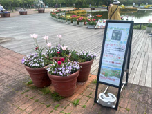 仲春のクイズラリー