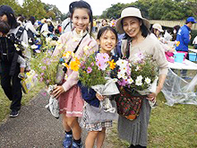 コスモス刈り取り体験