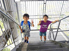 地上100㍍の階段のぼりに挑戦!