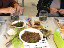 苔ボトルを作ろう