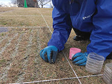 みんなで地上絵を作ろう!!