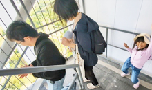 展望階100メートルからの階段くだりに挑戦!