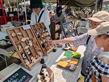 自然いっぱいの公園で遊ぼう!空と森のマルシェ