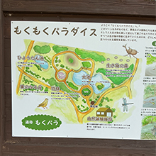 (1) もくパラ自然観察会